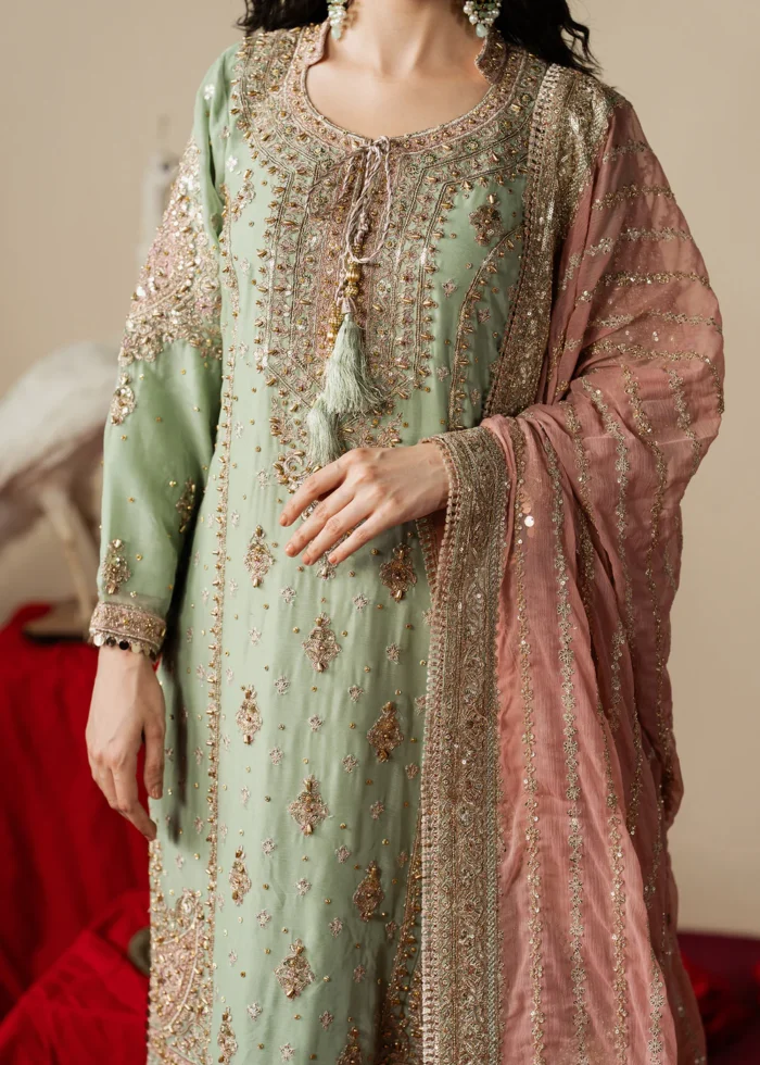 Haseens Official | 3 Piece Embroidered Straight kurta - Mahroza | Ready To Wear - Image 4