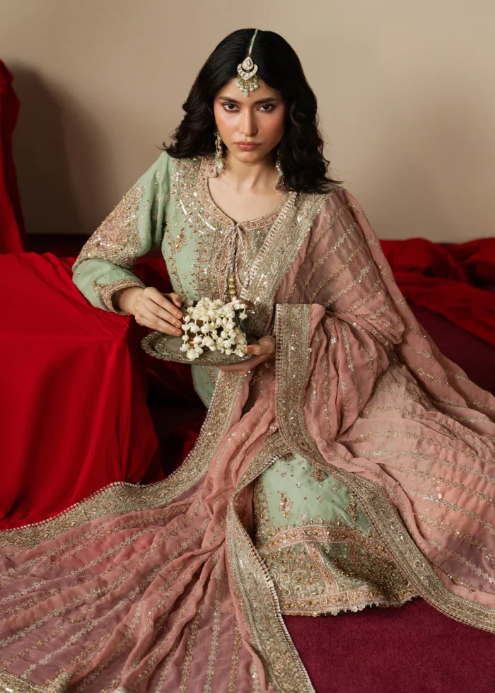 Haseens Official | 3 Piece Embroidered Straight kurta - Mahroza | Ready To Wear - Image 5