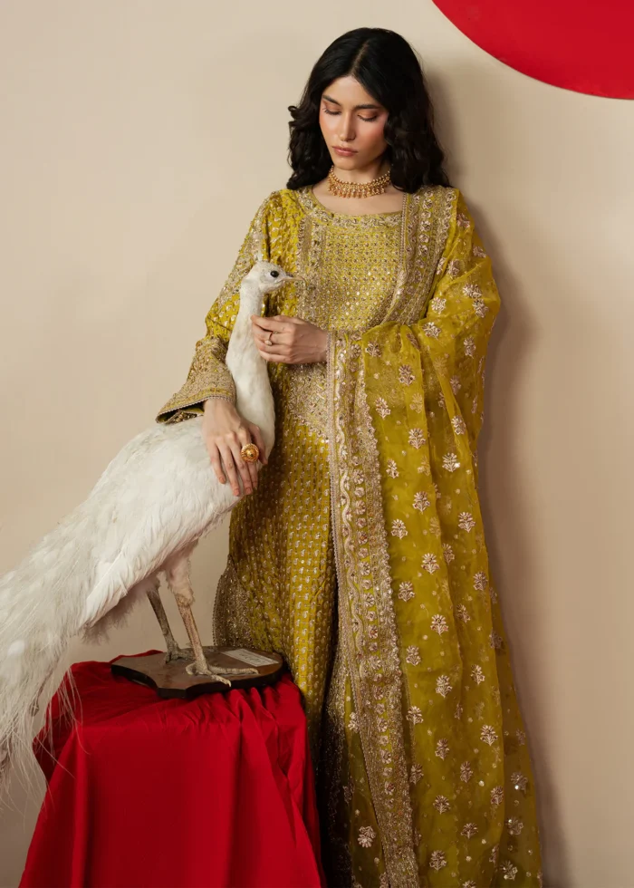 Haseens Official | 3 Piece Embroidered Straight kurta -  Zarqam| Ready To Wear - Image 2