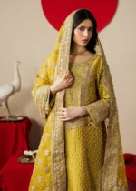 Haseens Official | 3 Piece Embroidered Straight kurta -  Zarqam| Ready To Wear - Image 5
