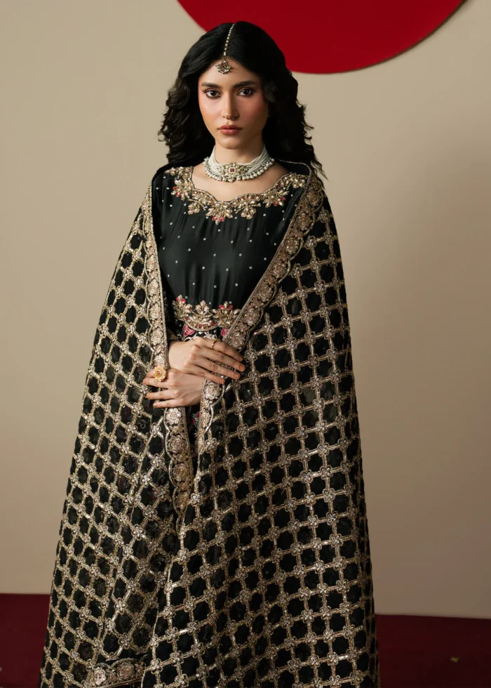 Haseens Official | 3 Piece Embroidered Flared maxi  - Gulrang | Ready To Wear - Image 4