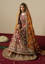 Haseens Official | 3 Piece Embroidered Anarkali maxi  - Naazish  | Ready To Wear - Image 8