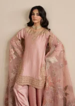 Haseens Official | 3 Piece Embroidered 	Straight cut kurta - Munezza | Ready To Wear - Image 4