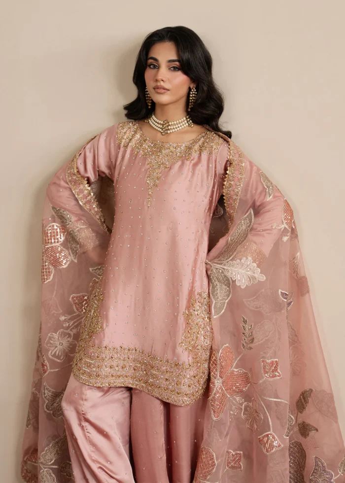 Haseens Official | 3 Piece Embroidered 	Straight cut kurta - Munezza | Ready To Wear - Image 4