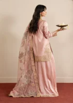 Haseens Official | 3 Piece Embroidered 	Straight cut kurta - Munezza | Ready To Wear - Image 3