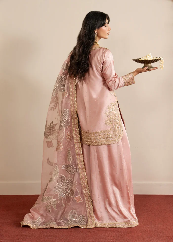 Haseens Official | 3 Piece Embroidered 	Straight cut kurta - Munezza | Ready To Wear - Image 3