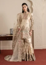 Pakistani Luxury dresses Festive collection in UK online