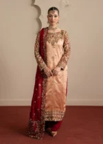 Pakistani Luxury dresses Festive collection in UK online