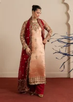 Haseens Official | 3 Piece Embroidered 	Straight kurta - Shaan | Ready To Wear - Image 6