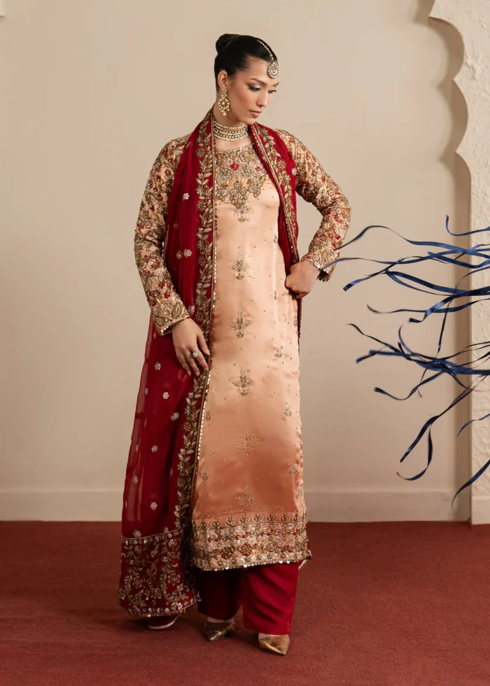 Haseens Official | 3 Piece Embroidered 	Straight kurta - Shaan | Ready To Wear - Image 6