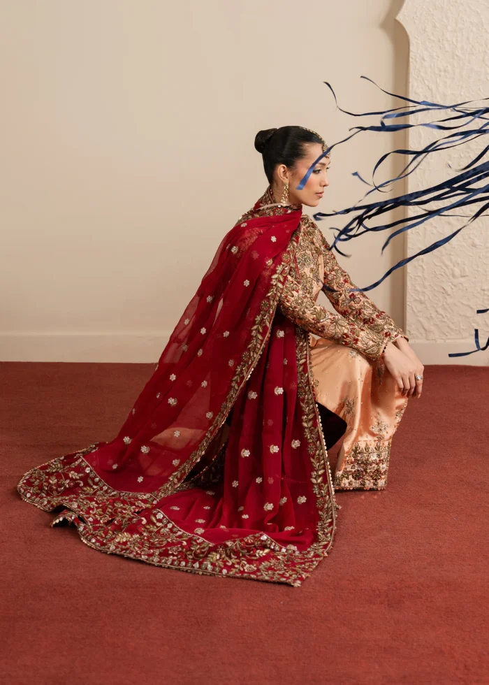 Haseens Official | 3 Piece Embroidered 	Straight kurta - Shaan | Ready To Wear - Image 4