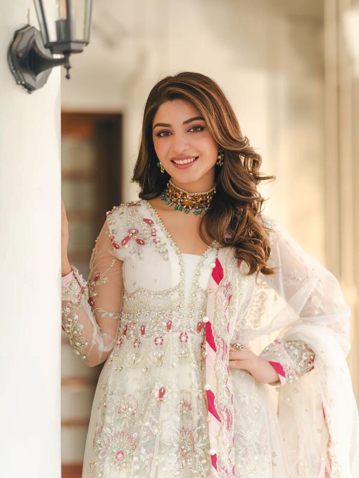 Ally's Official | 3 Piece Luxury Net fabric peplum embroidered  |AR-166 RUHI | Ready To Wear - Image 2