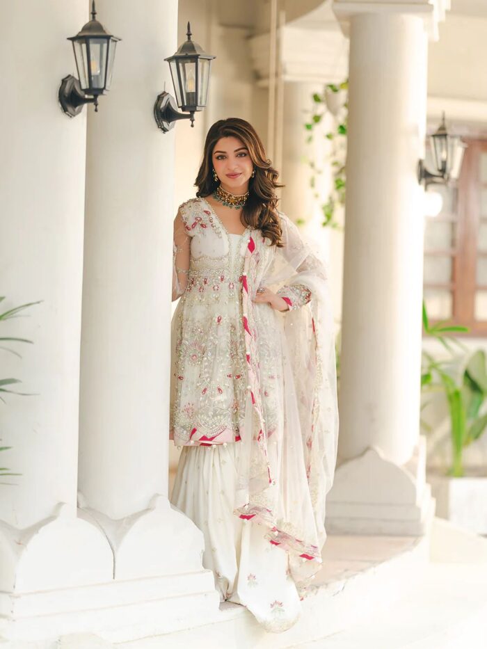 Ally's Official | 3 Piece Luxury Net fabric peplum embroidered  |AR-166 RUHI | Ready To Wear - Image 3
