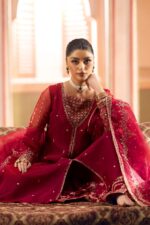 Naqshi | 3 Piece Organza A-line frock  – Ferisha | Ready To Wear - Image 6