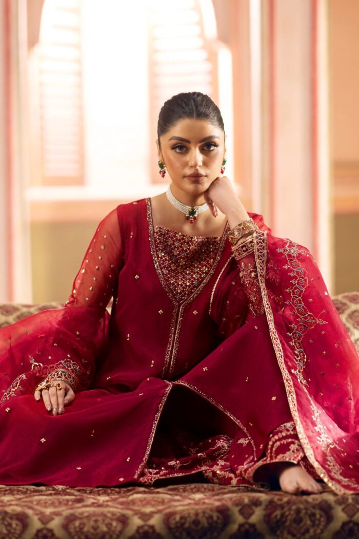 Naqshi | 3 Piece Organza A-line frock  – Ferisha | Ready To Wear - Image 6