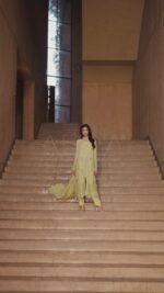 Naqshi | 3 Piece Lime Green  Khadi Net luxury pret – Pedro | Ready To Wear - Image 6