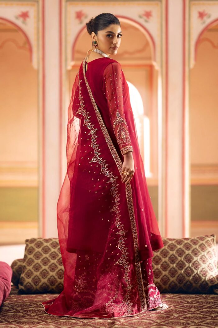 Naqshi | 3 Piece Organza A-line frock  – Ferisha | Ready To Wear - Image 5