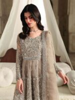 Ally's Official | 3 Piece Luxury Organza peplum embroidered  |AL-4265 Mayal | Ready To Wear - Image 3