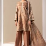 Pakistani Luxury dresses UK by House of Zayra online