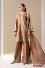 Pakistani Luxury dresses UK by House of Zayra online
