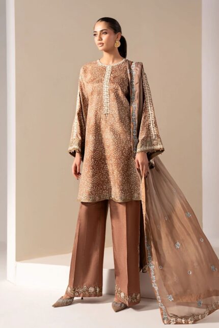 Pakistani Luxury dresses UK by House of Zayra online