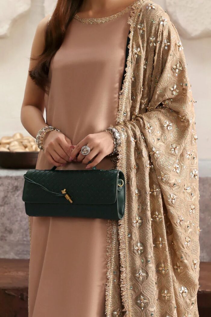 Vanya | 3 Piece  Embroidered Premium Silk & Chiffon - RV-07 | Ready To Wear - Image 4
