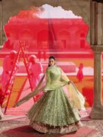 Ally's Official | 3 Piece Luxury Organza lehenga Embroidered   | AR-178 Reet | Ready To Wear - Image 8