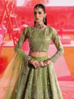 Ally's Official | 3 Piece Luxury Organza lehenga Embroidered   | AR-178 Reet | Ready To Wear - Image 9