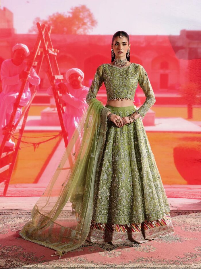 Ally's Official | 3 Piece Luxury Organza lehenga Embroidered   | AR-178 Reet | Ready To Wear - Image 10