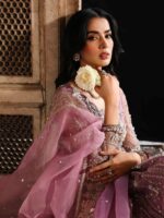 Ally's Official | 3 Piece Luxury net Maxi Embroidered   | AR-165 Rasm | Ready To Wear - Image 2