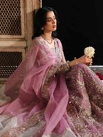 Ally's Official | 3 Piece Luxury net Maxi Embroidered   | AR-165 Rasm | Ready To Wear - Image 3