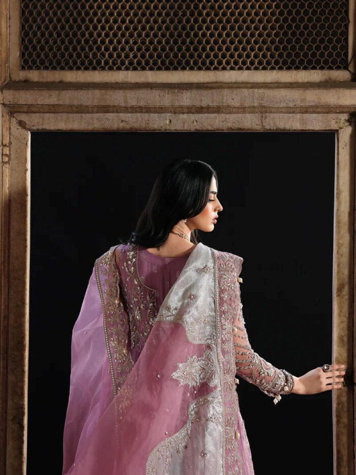 Ally's Official | 3 Piece Luxury net Maxi Embroidered   | AR-165 Rasm | Ready To Wear - Image 6