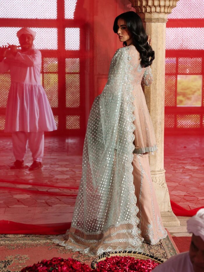 Ally's Official | 3 Piece Luxury Khadi Net peplum Embroidered   | AR-168 Mira | Ready To Wear - Image 3