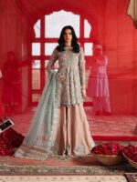 Pakistani Luxury dresses Festive collection in UK online