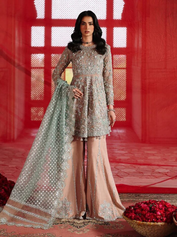 Ally's Official | 3 Piece Luxury Khadi Net peplum Embroidered   | AR-168 Mira | Ready To Wear - Image 6