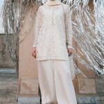 Pakistani Luxury dresses collection by House of Zayra in UK online