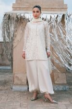 Pakistani Luxury dresses collection by House of Zayra in UK online