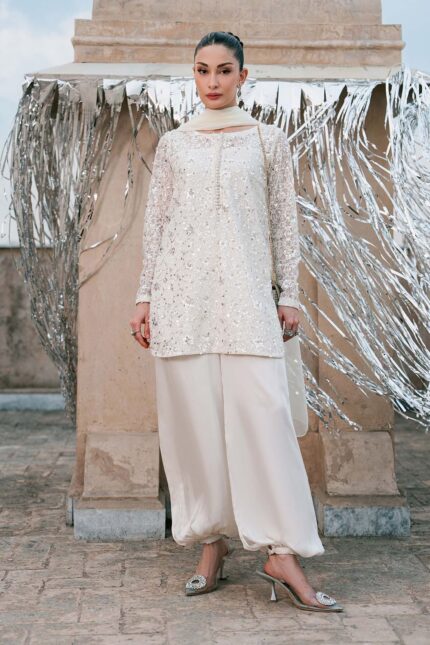 Pakistani Luxury dresses collection by House of Zayra in UK online