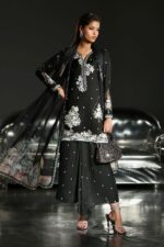 Pakistani Luxury dresses collection by House of Zayra in UK online