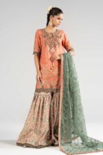 Pakistani Luxury dresses collection by House of Zayra in UK online