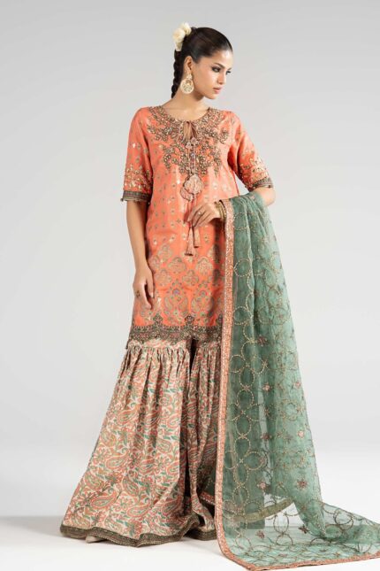 Pakistani Luxury dresses collection by House of Zayra in UK online
