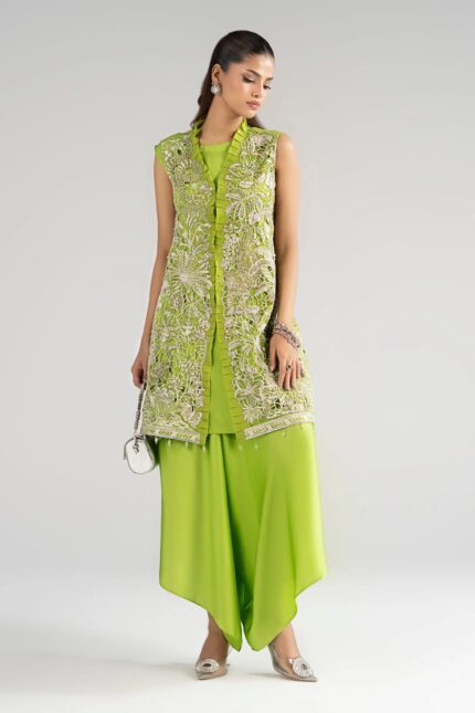 Pakistani Luxury dresses collection by House of Zayra in UK online