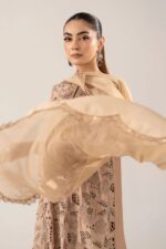 MARIA.B | 3 Piece Embroidered Raw Silk Suit -SF-EF26-16-BEIGE | Ready To Wear - Image 4