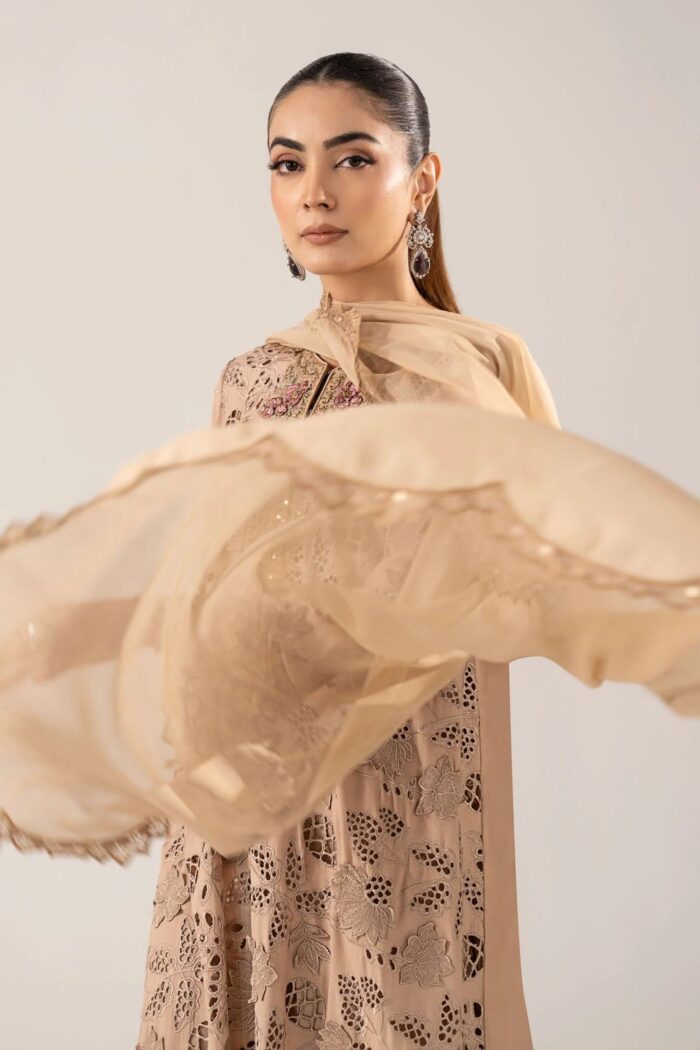 MARIA.B | 3 Piece Embroidered Raw Silk Suit -SF-EF26-16-BEIGE | Ready To Wear - Image 4