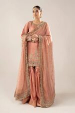 MARIA.B | 3 Piece Embroidered Raw Silk Suit -SF-EF26-28-Peach | Ready To Wear - Image 6