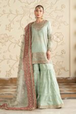 Pakistani Luxury dresses collection by House of Zayra in UK online