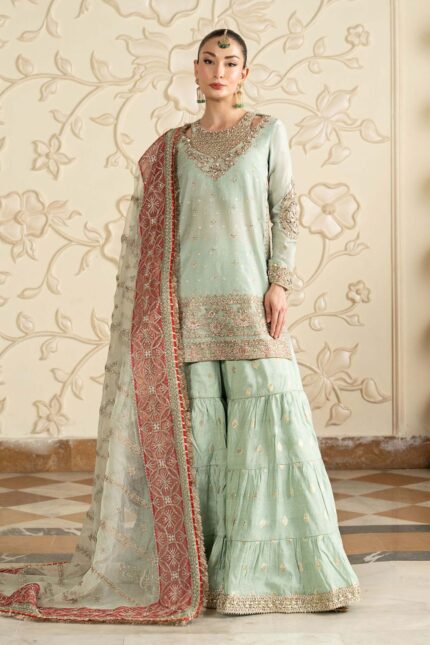 Pakistani Luxury dresses collection by House of Zayra in UK online