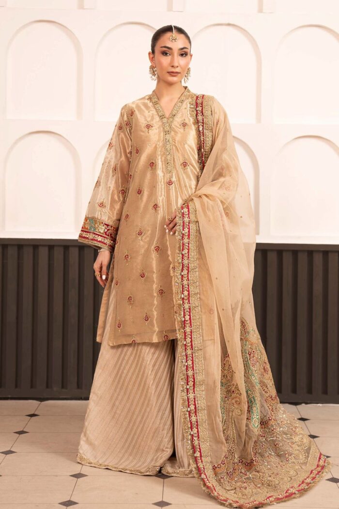 Pakistani Luxury dresses collection by House of Zayra in UK online