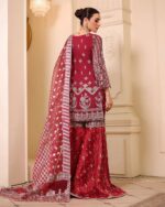 Ally's Official | 3 Piece Luxury Organza embroidered ghararah  |AR-111| Ready To Wear - Image 2