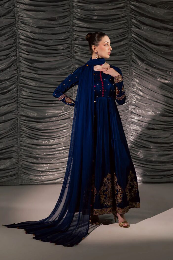 Vanya | 3 Piece  Embroidered Silk, Chiffon  - FF-67 | Ready To Wear - Image 3